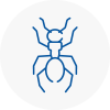 Ant Removals In Boston