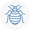 Bed Bug Extermination In Boston