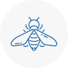 Bee Nest Removal Boston