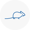Mice Exterminators In Boston