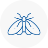 Moth Control Specialists In Boston
