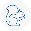 Boston Rodent Removals